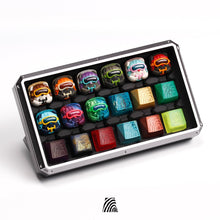 Load image into Gallery viewer, FALSE