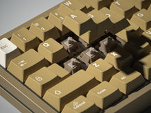 Load image into Gallery viewer, Gateron N1s Switches